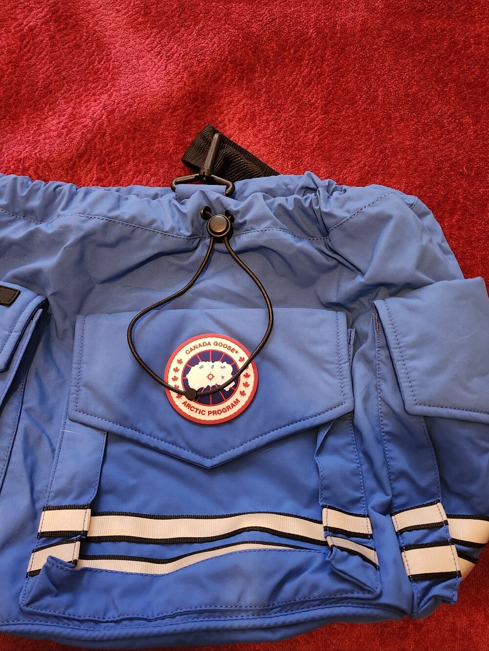 Canada Goose Light Blue Nylon Backpack with Red Logo Patch